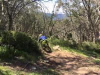 Mountain bike tours Australia image 6